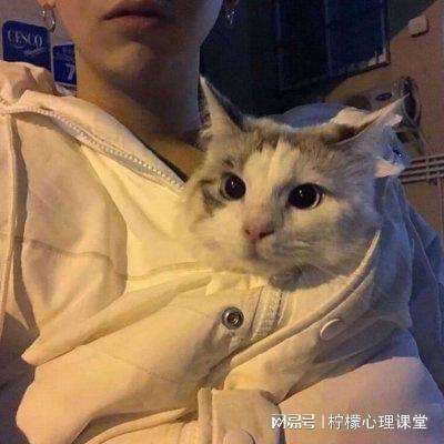 梦想我要当皇帝游戏下载